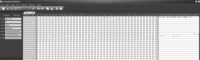 VDI in hex editor